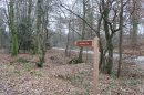 Forêt de la Londe-Rouvray
